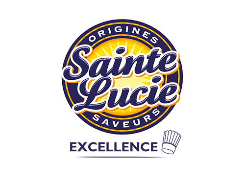 Logo Sainte Lucie Excellence